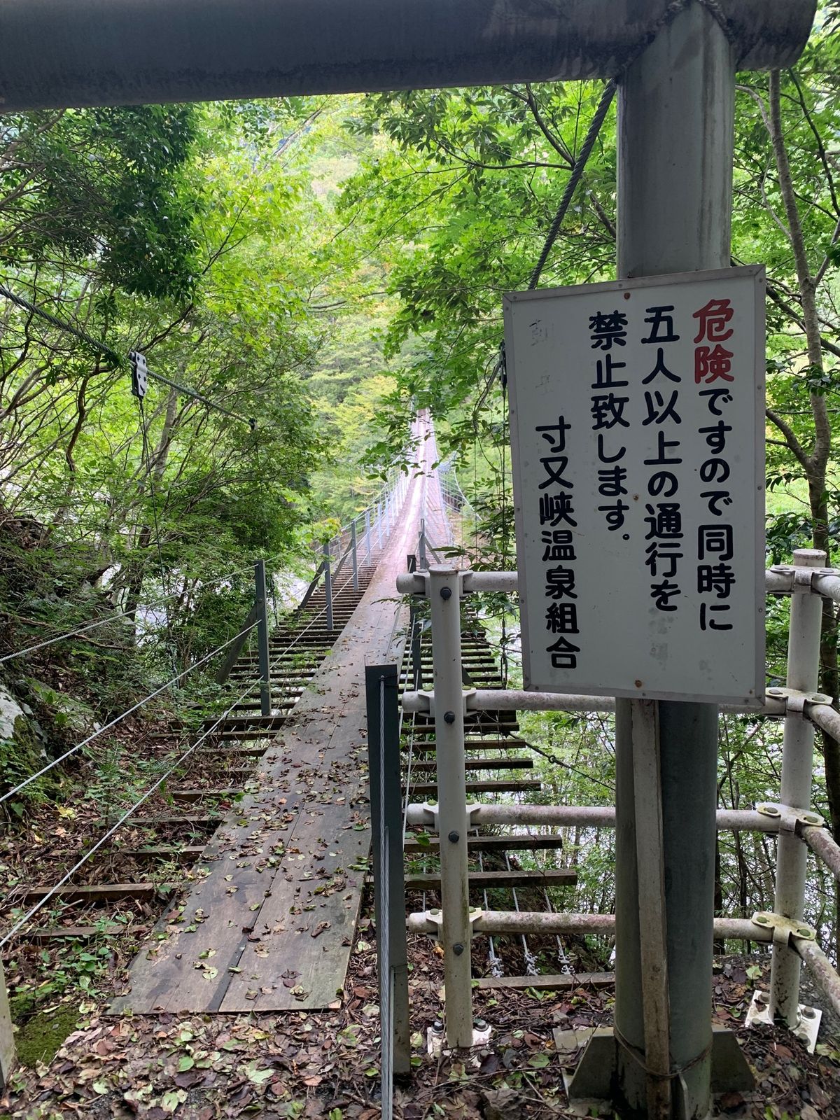 そしてやっとたどり着いた猿並橋。夢の吊り橋は10人までなのにこちらは5人ま...