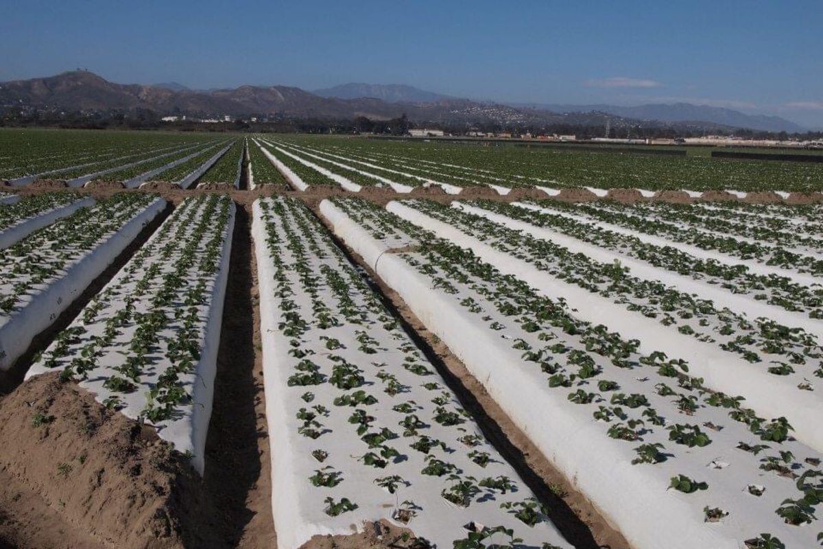 ロサンジェルスの郊外