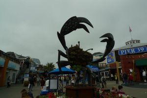 8月なのに寒かった海沿いとダウンタウン