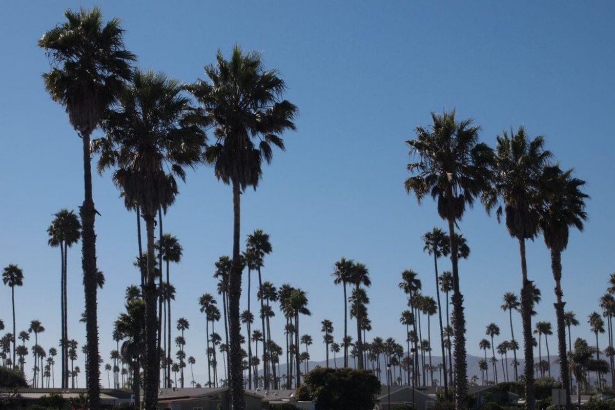 ロサンジェルスの郊外