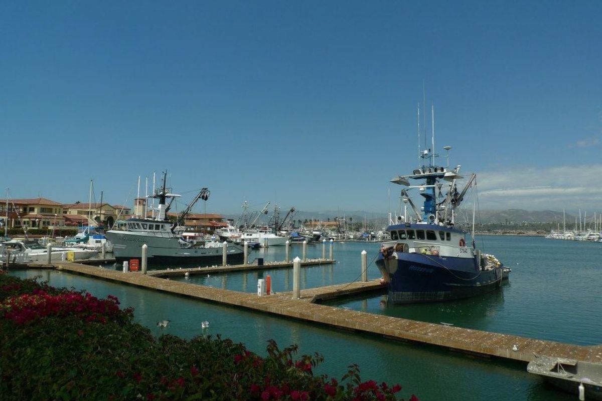 ロスから北へ2時間ほどいったベンチュラという町