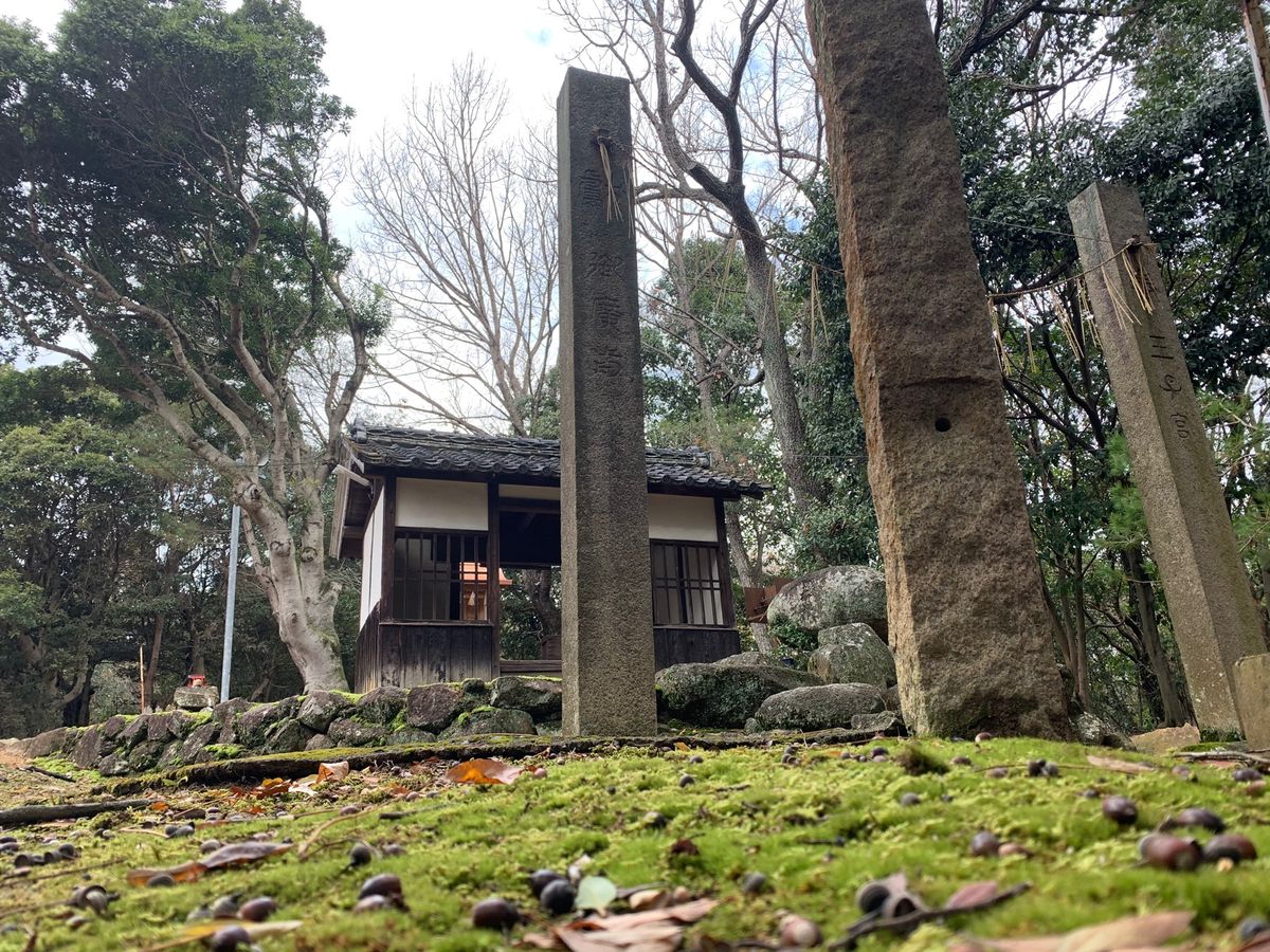 市内だけどトトロの居そうな山の中で中一まで育ちました☺️