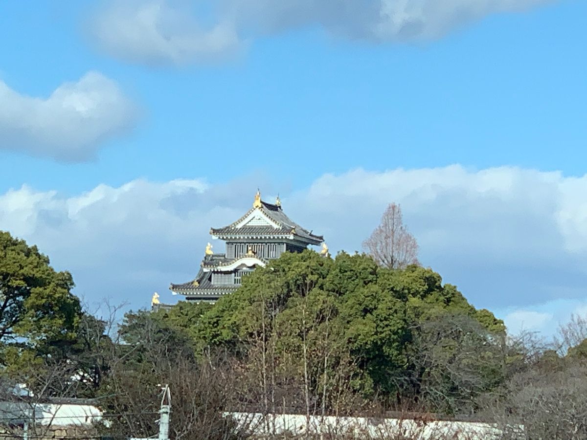 市内だけどトトロの居そうな山の中で中一まで育ちました☺️