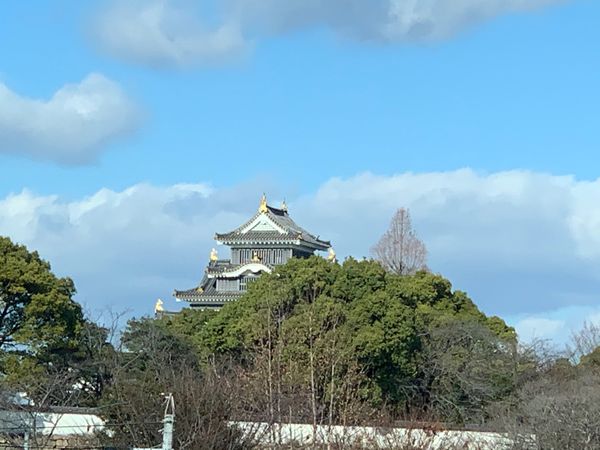 日本・岡山県「帰省」の写真：市内だけどトトロの居そうな山の中で中一ま...