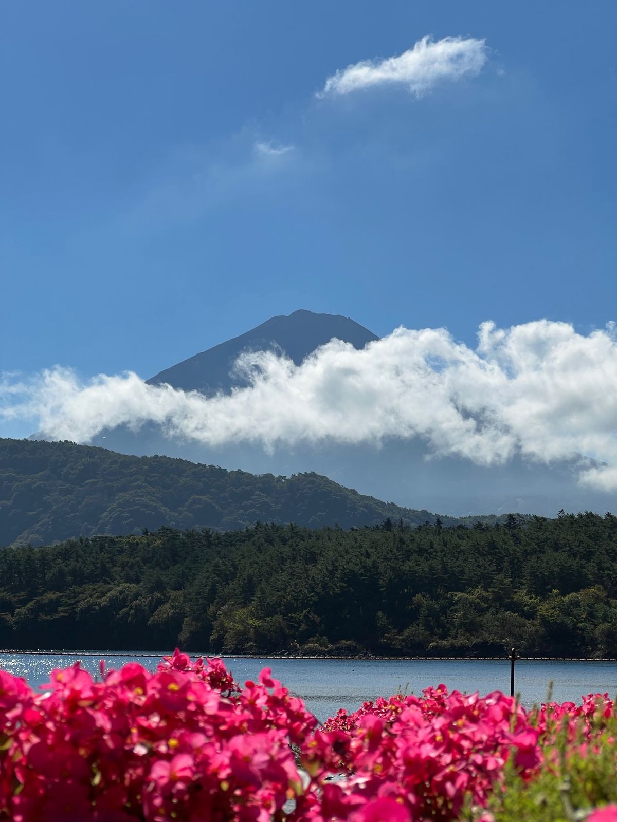 帰りに西湖へ
素晴らしい天気！