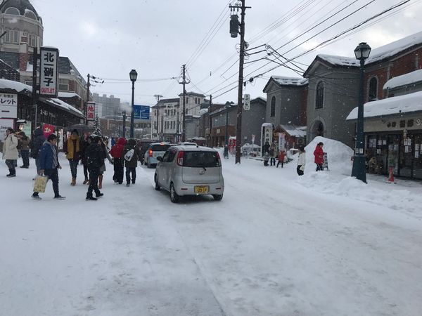 日本・北海道「冬の北海道」の写真