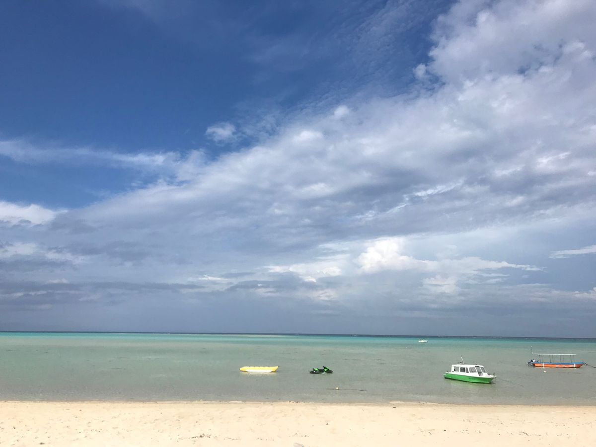 大金久海岸🏝

そこに出現する
幻の浜が「百合ヶ浜」💗
日本の中で多分1番...