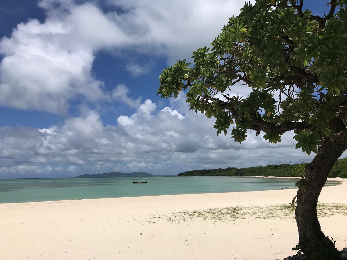 竹富島✨
コンドイビーチ🏝

与論島の「大金久海岸」バリに
透明度の高い天...