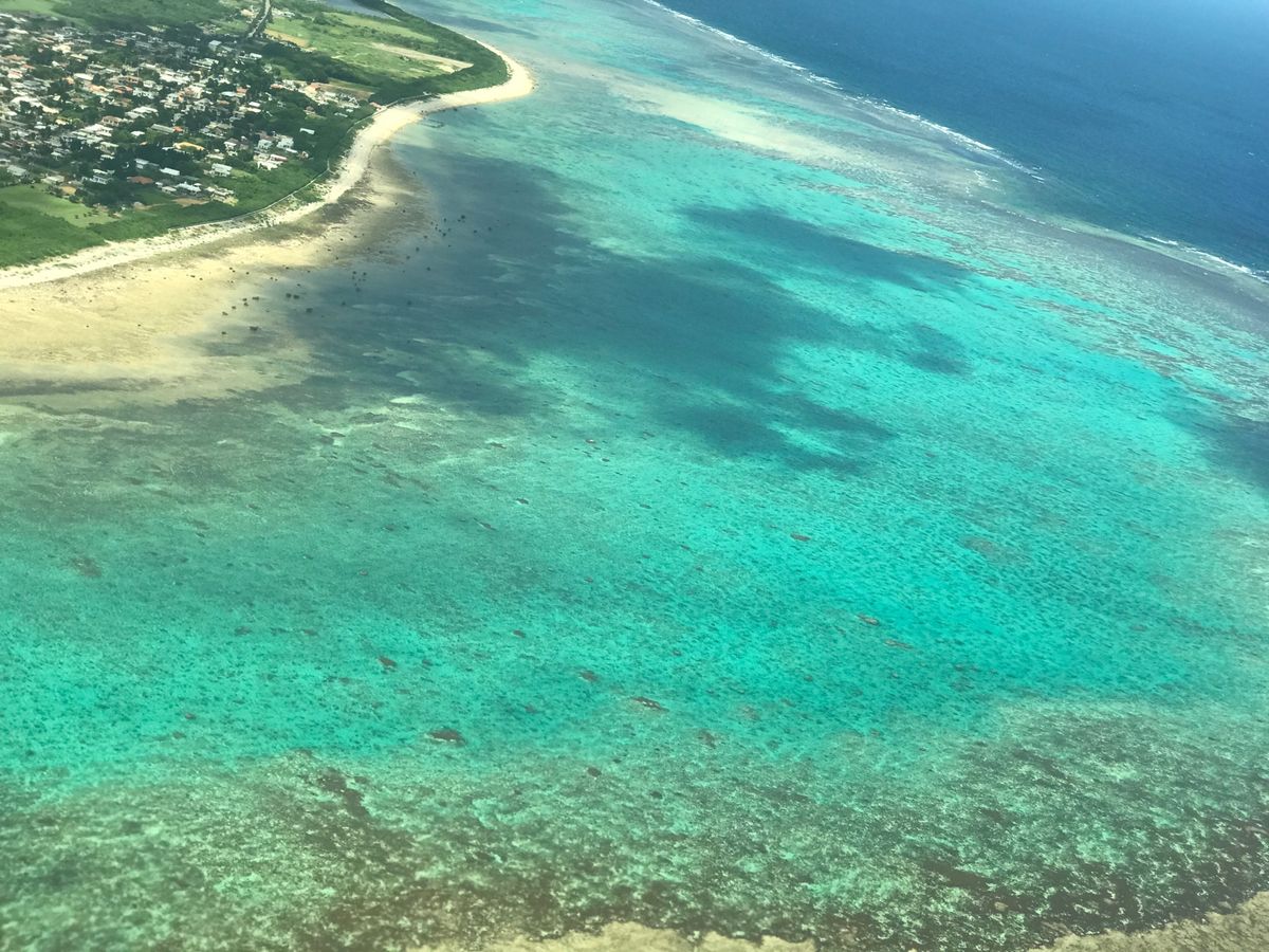 離島行きの離発着･･･
やっぱり好きだなぁ(º∀º*)💕

海の「青さ」が...