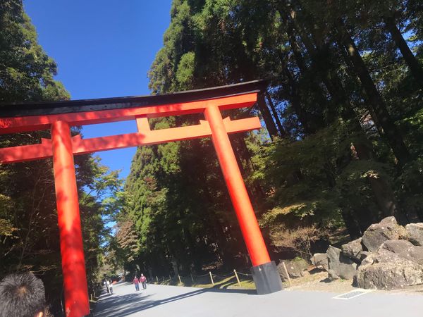 日本・鹿児島県鹿児島市「鹿児島」の写真：霧島神宮⛩

マイナスイオンしか感じなか...