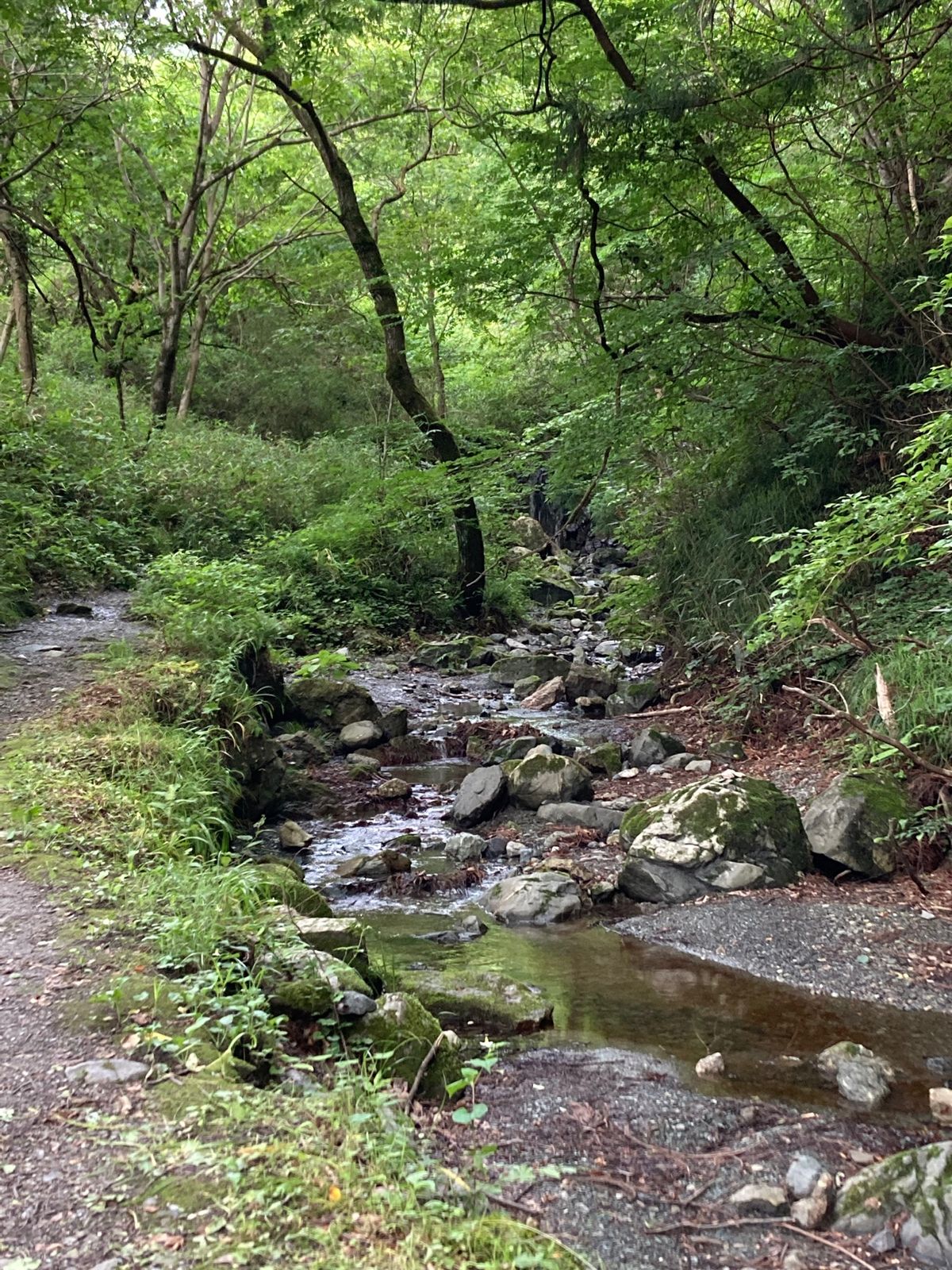 金運アップを祈願したくて、聖神社へ。
小さな神社なのですぐ参拝終了しちゃう...