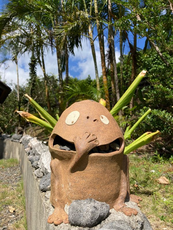 日本・奄美大島「奄美大島」の写真