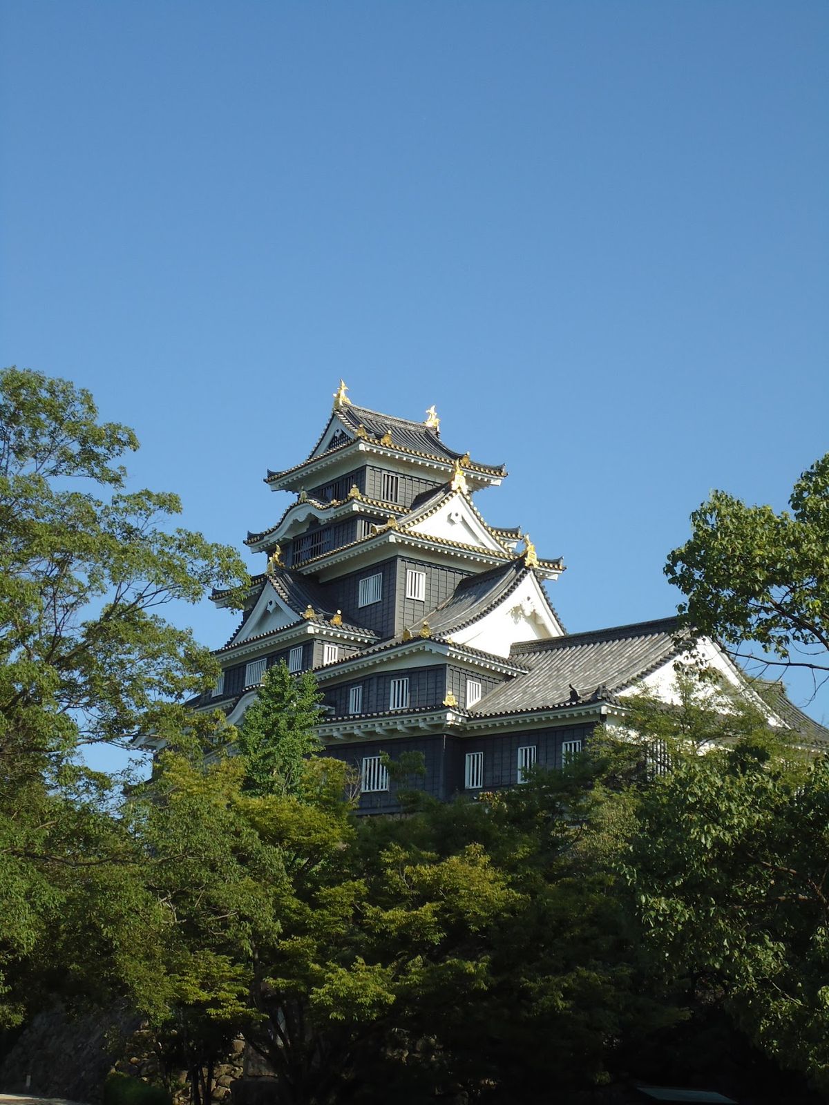今治城 丸亀城 岡山城
