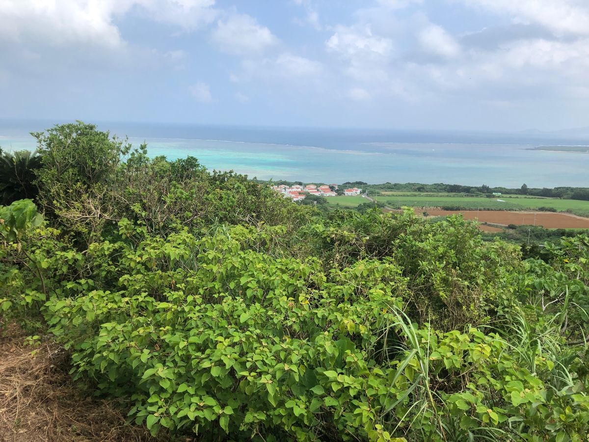 ちゅらさんで有名になった小浜島。見てなかったけど、ちゅらさんのお家？とシュ...