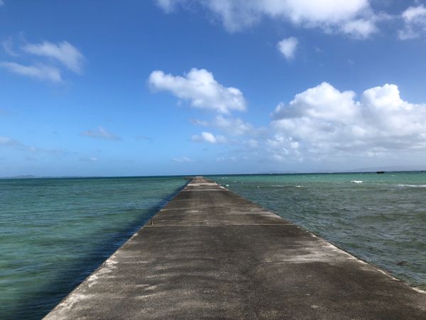 日本・竹富島「八重山諸島満喫の旅」の写真：黒島。のどかな牧場と綺麗な海の素敵な島。...