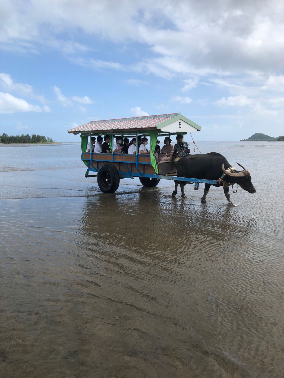 西表島と由布島。浦内川クルーズと途中までトレッキング。路線バスの都合でマリ...