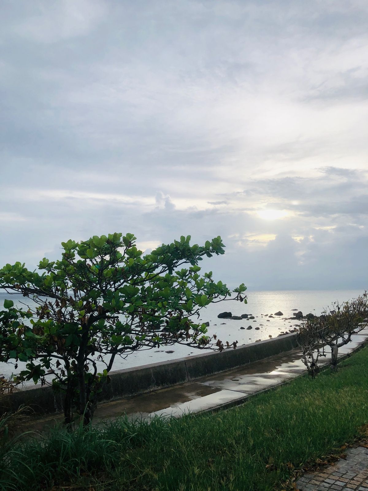 観音崎のサンセットと星空ツアー。石垣牛のバーガーも食べた。