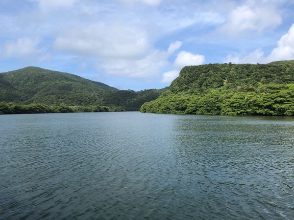 日本・竹富島「八重山諸島満喫の旅」の写真：西表島と由布島。浦内川クルーズと途中まで...