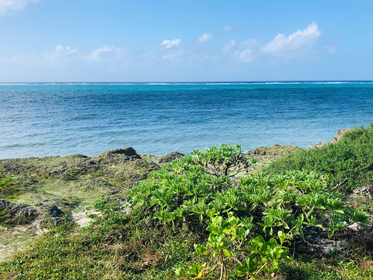 黒島。のどかな牧場と綺麗な海の素敵な島。台風でフェリー欠航が怖くて慌てて帰...