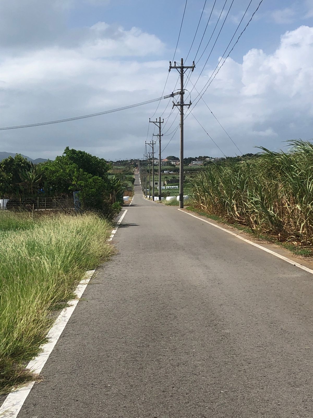 ちゅらさんで有名になった小浜島。見てなかったけど、ちゅらさんのお家？とシュ...