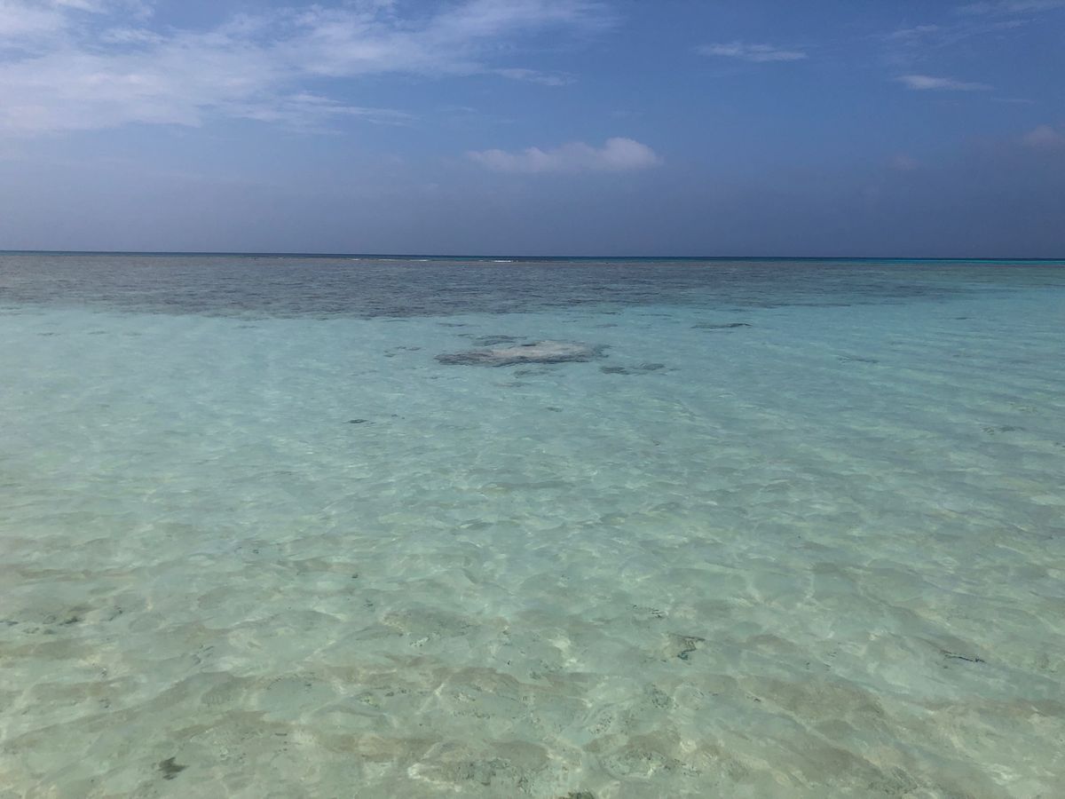 最南端の波照間島。波照間島ブルーの海は綺麗だった。