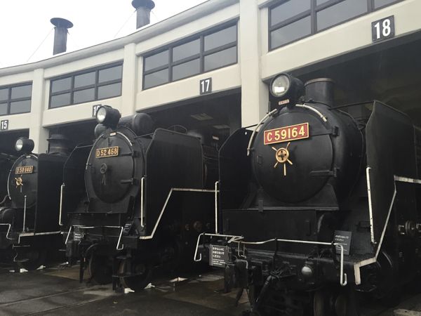 日本・京都府「京都鉄博と漫画ミュージアム」の写真：鉄道博物館。懐かしい列車がたくさんありました。