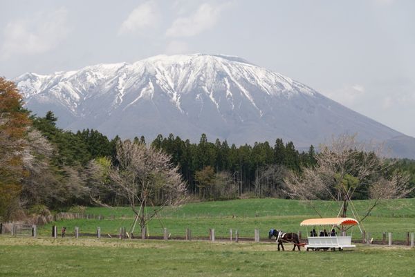 日本・岩手県「岩手旅行」の写真：小岩井牧場へ
広大な敷地と山が素晴らしい...