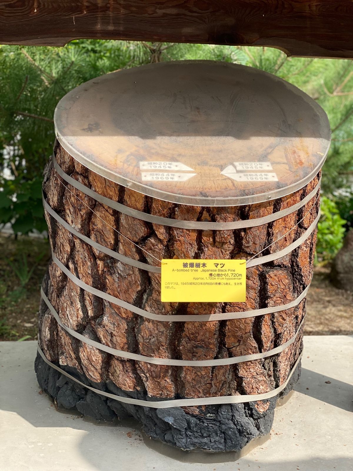 饒津（にぎつ）神社

最初読み方がわからなかった😅
入口には被爆したマツも...