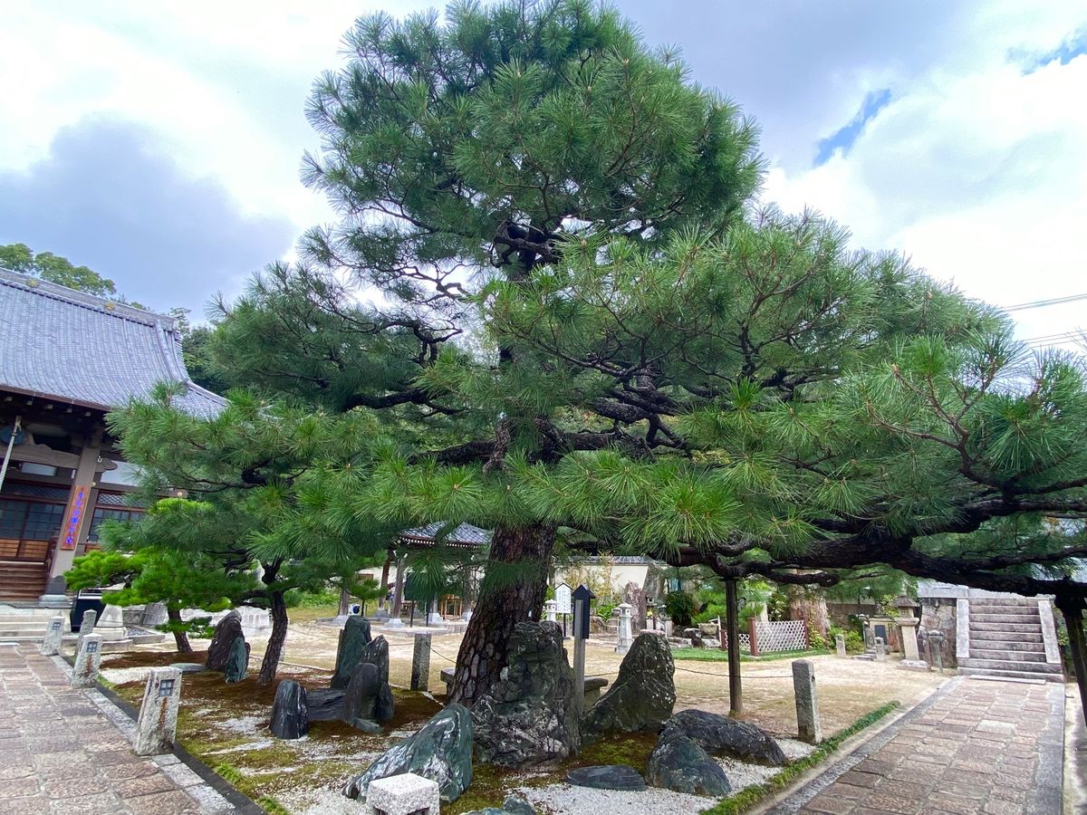 明星院

せっかくなので鐘を突いてみた🔔
敷地はかなり広くて
一つずつ丁寧...