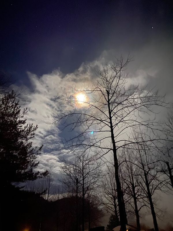 日本・兵庫県「湯の原温泉オートキャンプ場（わ」の写真