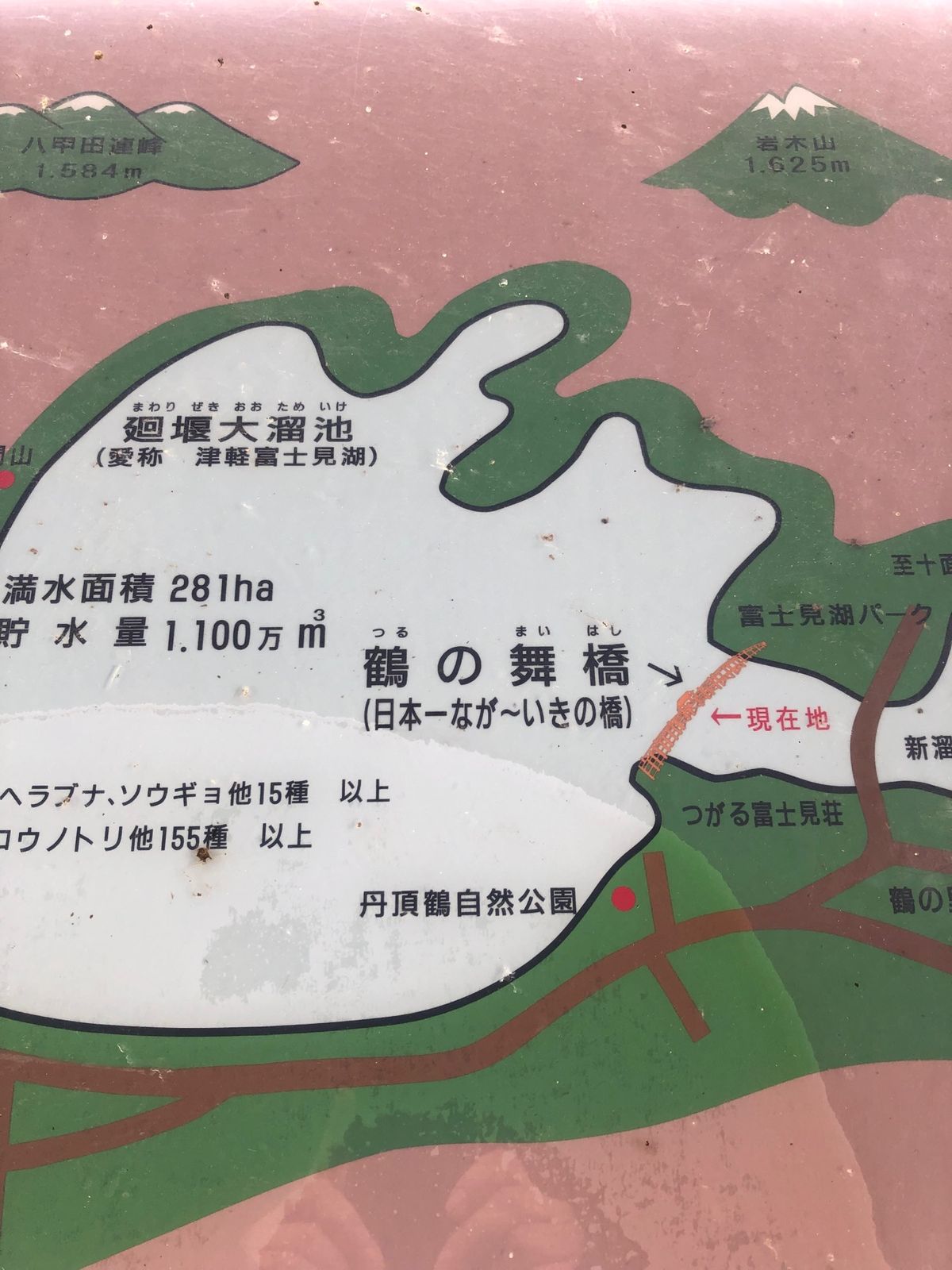 鶴の舞橋へ

津軽富士こと岩木山は曇っててきちんと見えず