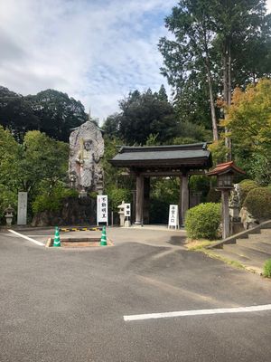 高速がまだ高いのがキツいです