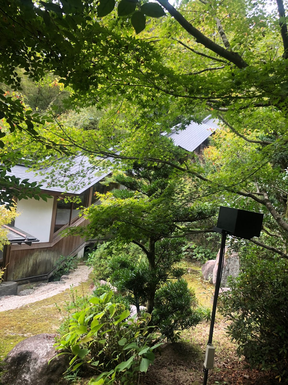 高速がまだ高いのがキツいです