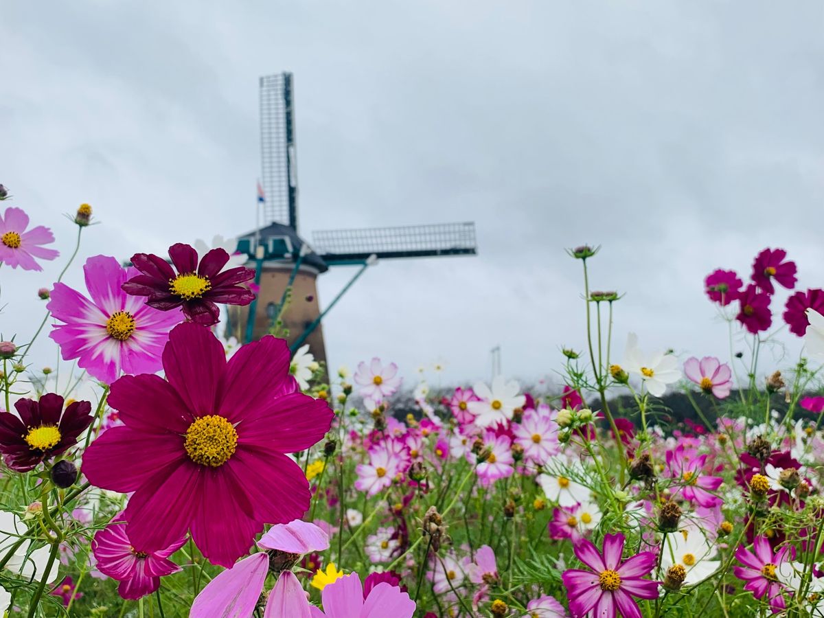 晴れてればもっと綺麗だったなー