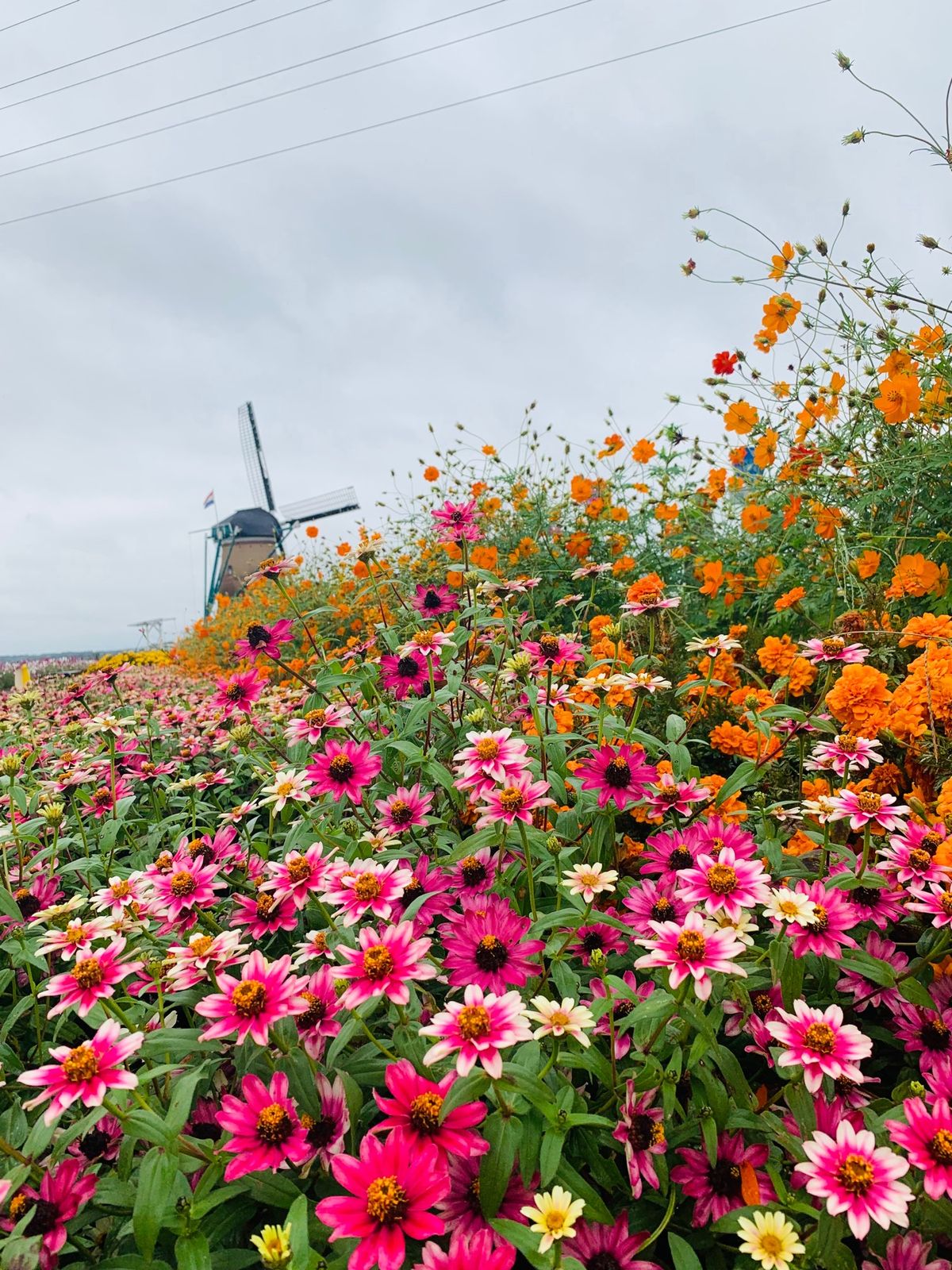 晴れてればもっと綺麗だったなー