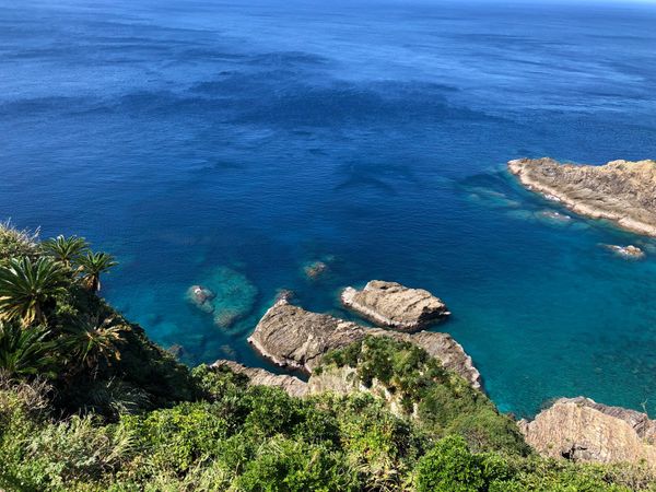 日本・鹿児島県「本土最南端「佐多岬」」の写真：リアルディズニー！！
