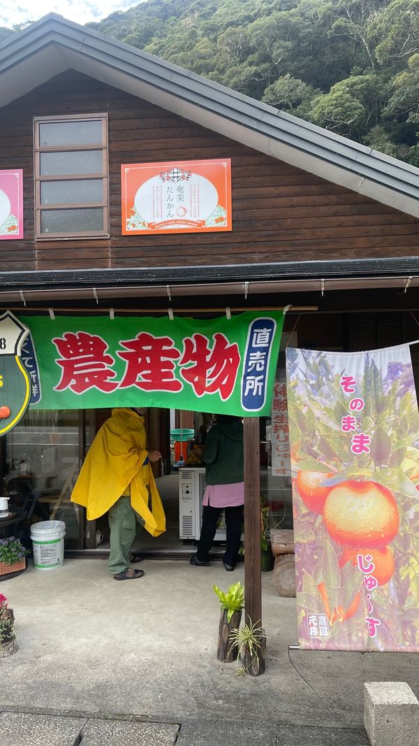 日本・奄美大島「奄美大島原付の旅」の写真：元井農園さんのたんかん搾りたてジュース。...