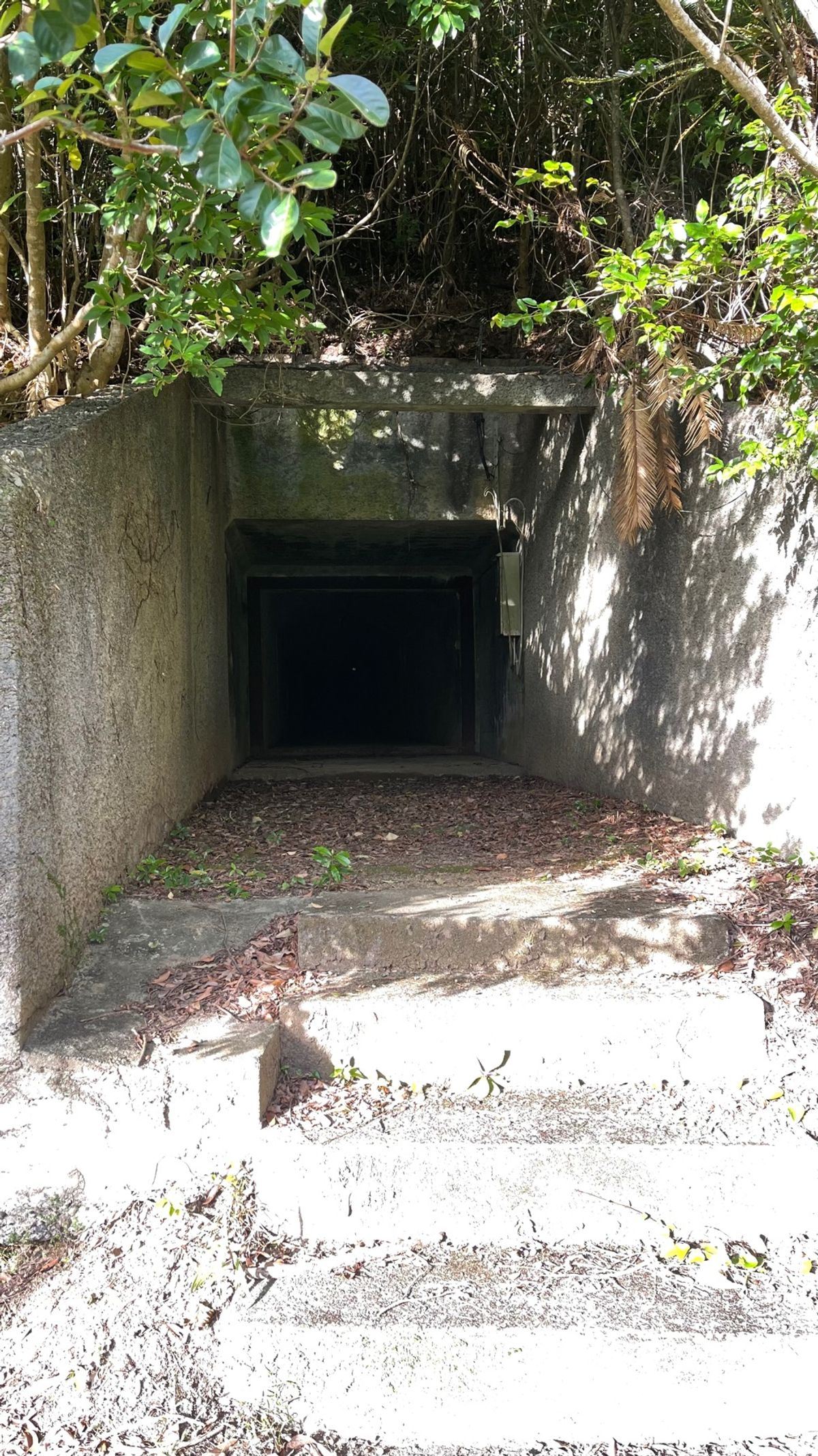 旧陸軍弾薬庫跡。
ここも凄い。
当時島民すら知らなかったとか。
日本で最も...