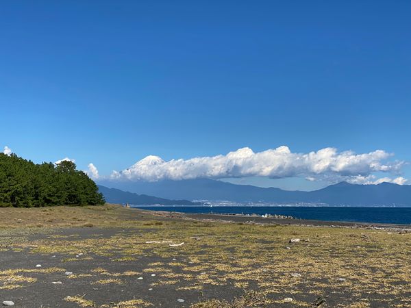 日本・静岡市「静岡、福山」の写真