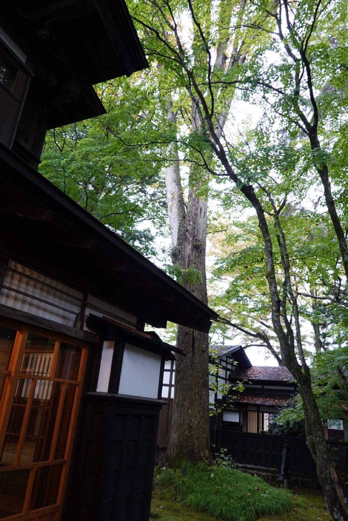 1日目後半
田沢湖からバスで角館へ
河原田屋にお邪魔しました
お庭が素晴ら...