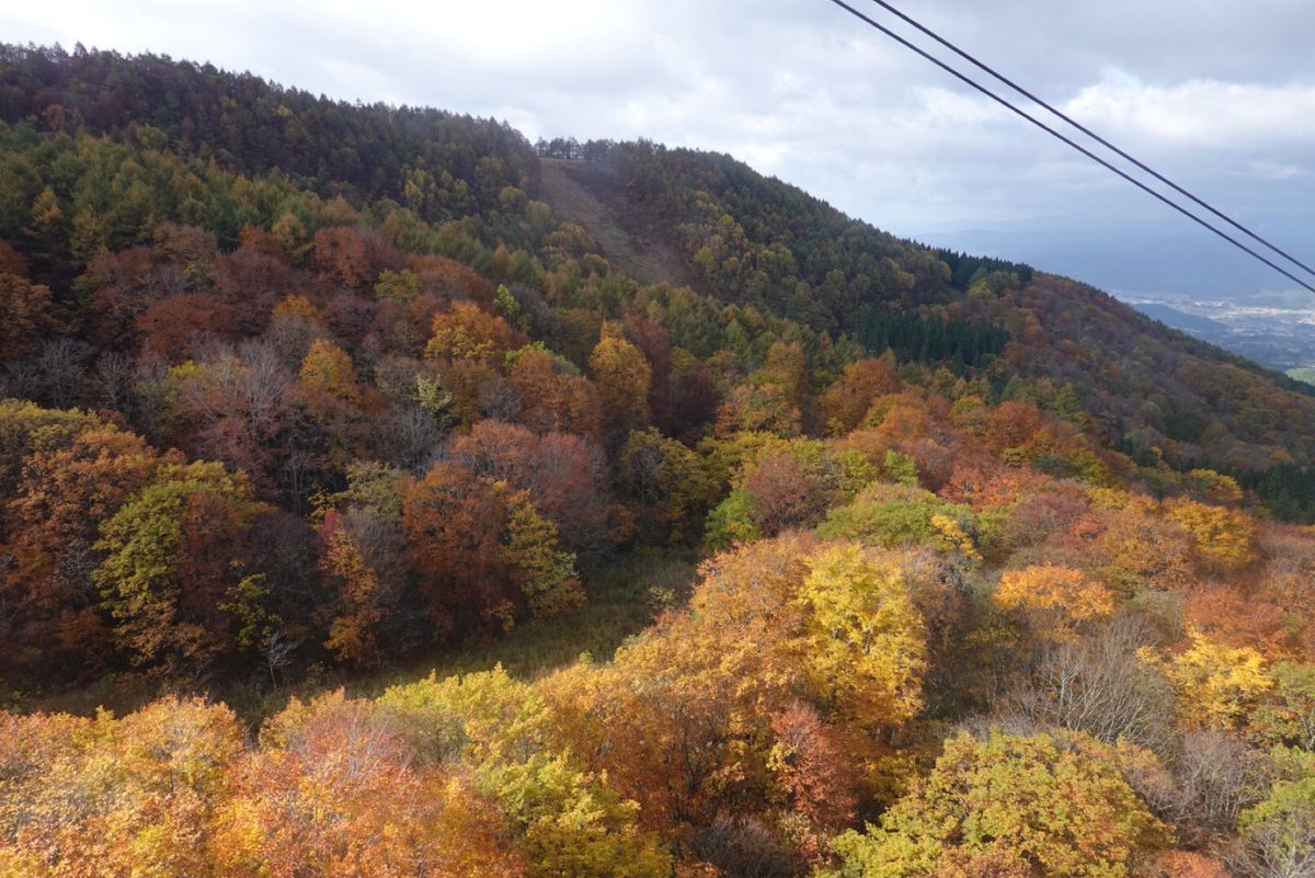 3日目
蔵王ロープウェイ
紅葉きれいー！と思ってたら
ロープウェイを頂上に...