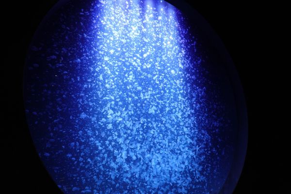 日本・山形県「山形旅行」の写真：2日目
くらげ水族館と呼ばれる加茂水族館...