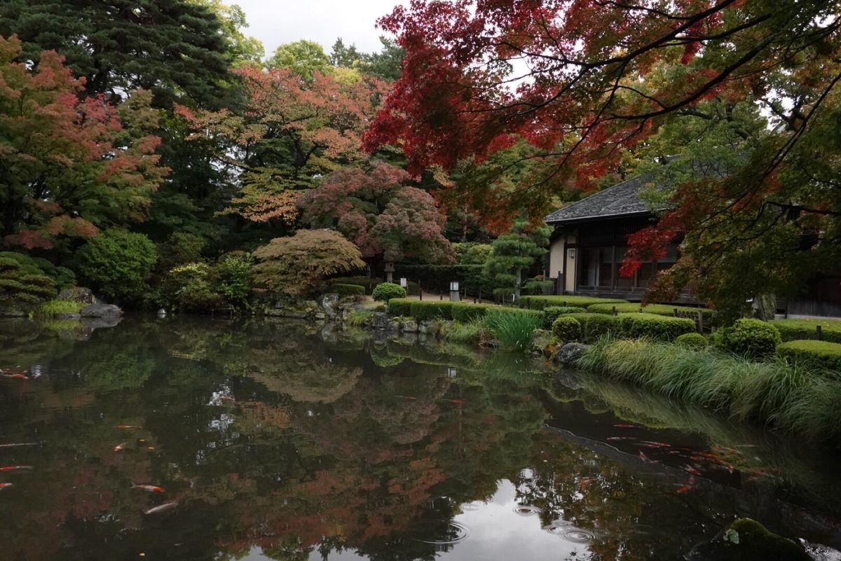 1日目
後半は待ちブラして夜は山形駅近くの展望台へ