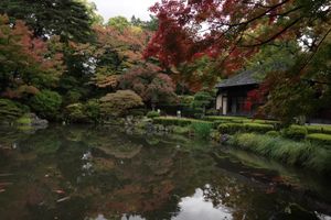 1日目
後半は待ちブラして夜は山形駅近くの展望台へ