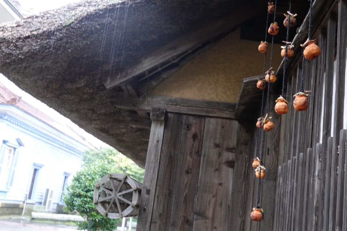 2日目後半
鶴岡の洋館巡り
駅で果物のケーキも買って食べました(*´ｪ｀*)