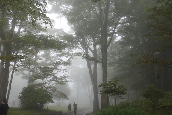 日本・栃木県「栃木旅行」の写真：日光駅から華厳の滝、中禅寺湖へ
霧がすご...