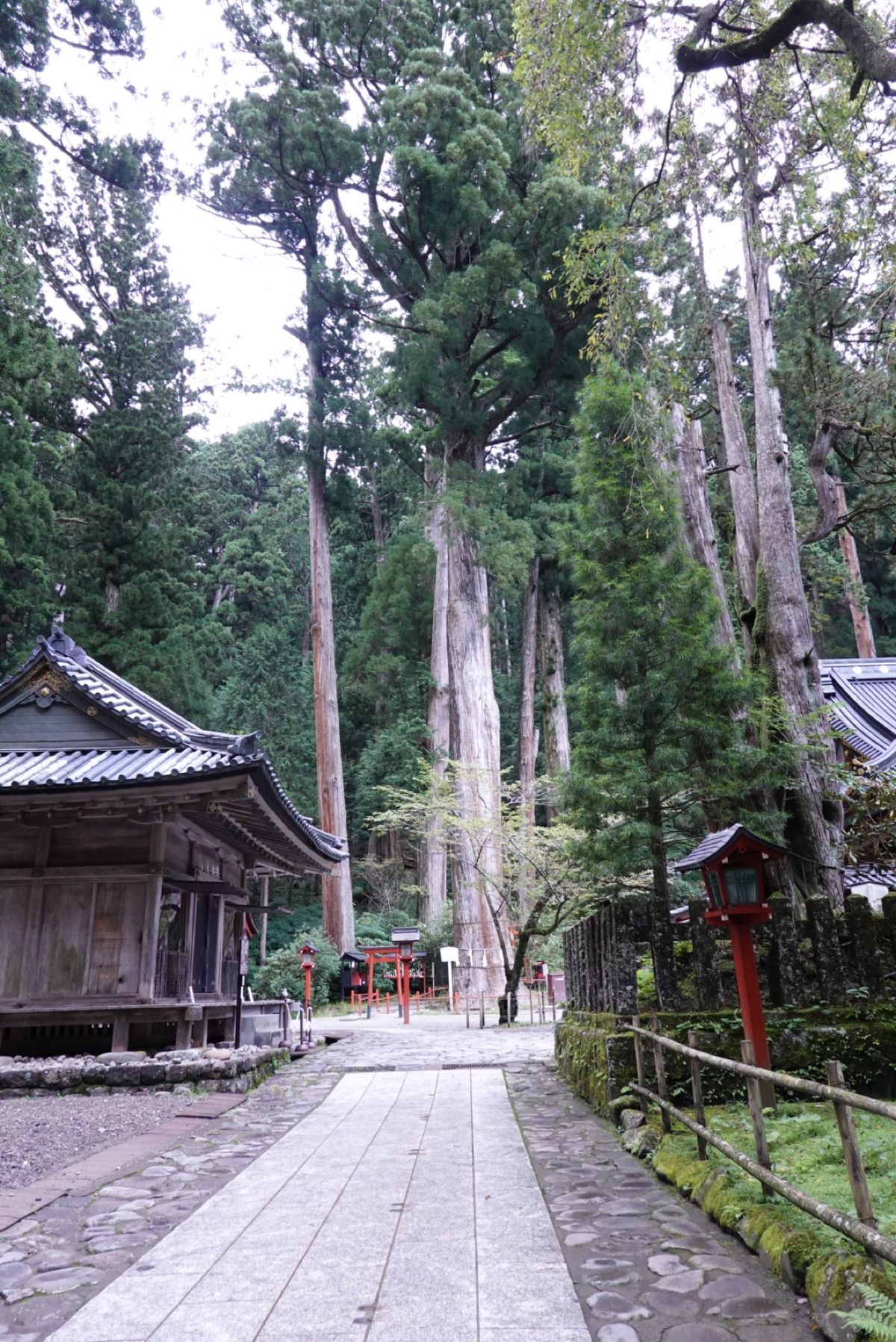 2日目
東照宮のあとは二荒山神社を参拝して日光駅へ