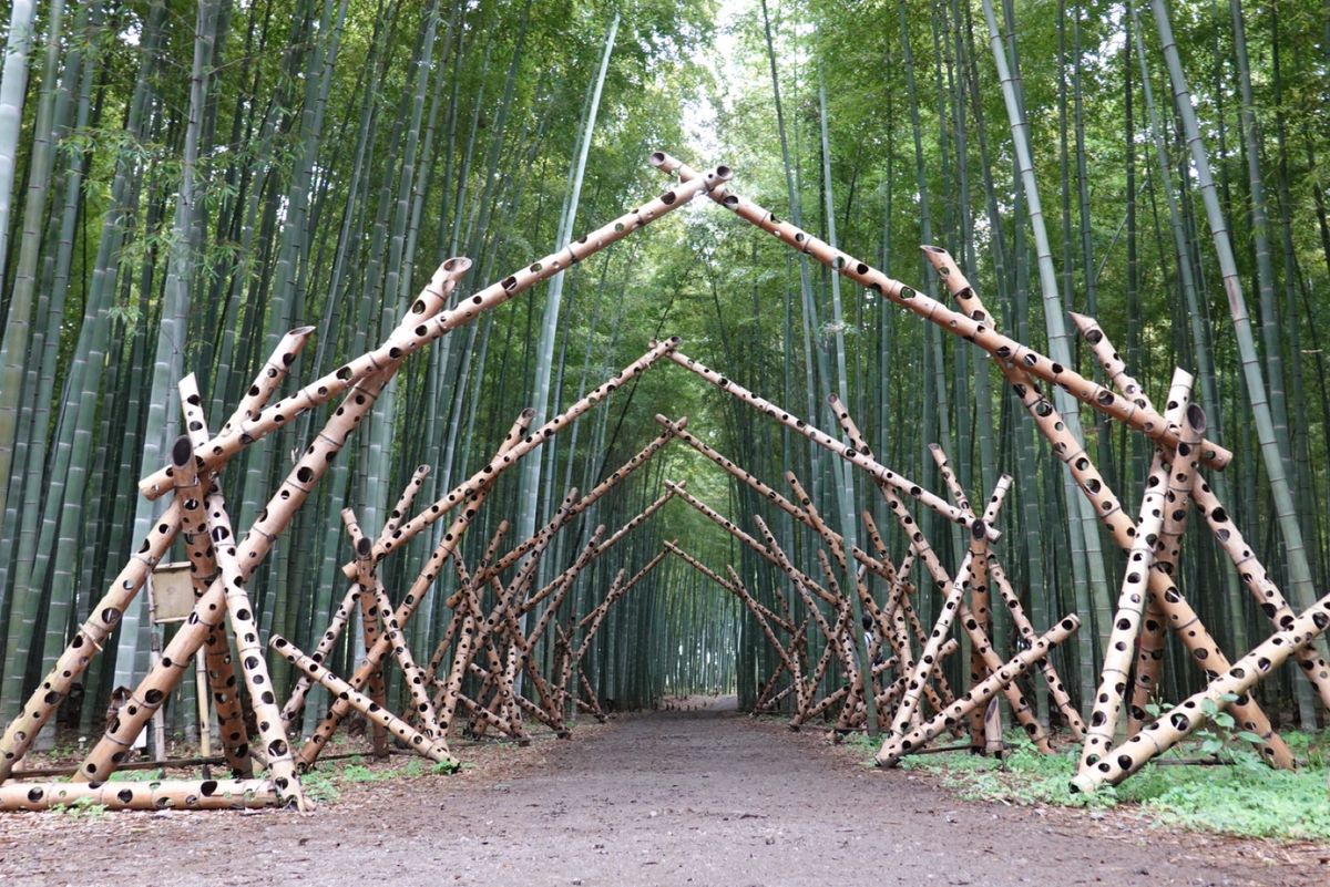2日目
ランチして竹林へ
帰りの新幹線ではいちごサンドで締めくくり(・▽・）