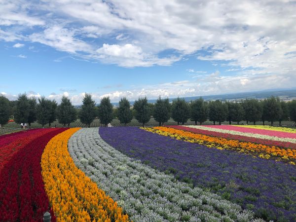 日本・北海道「北海道旅行」の写真