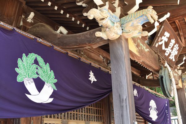 日本・徳島県「四国旅行」の写真